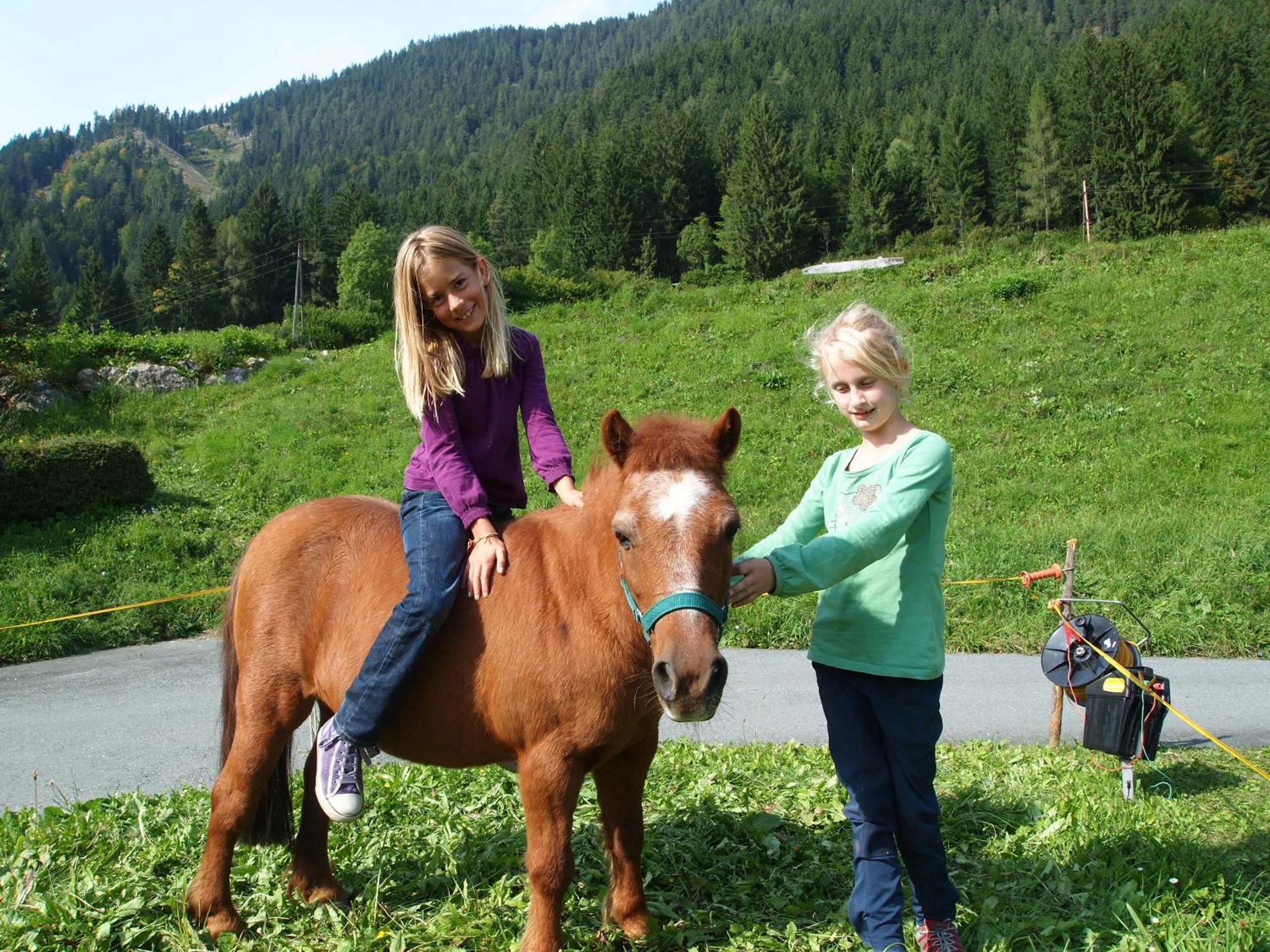 Ferienhof Obergasser Und Bergblick Weissensee Dış mekan fotoğraf